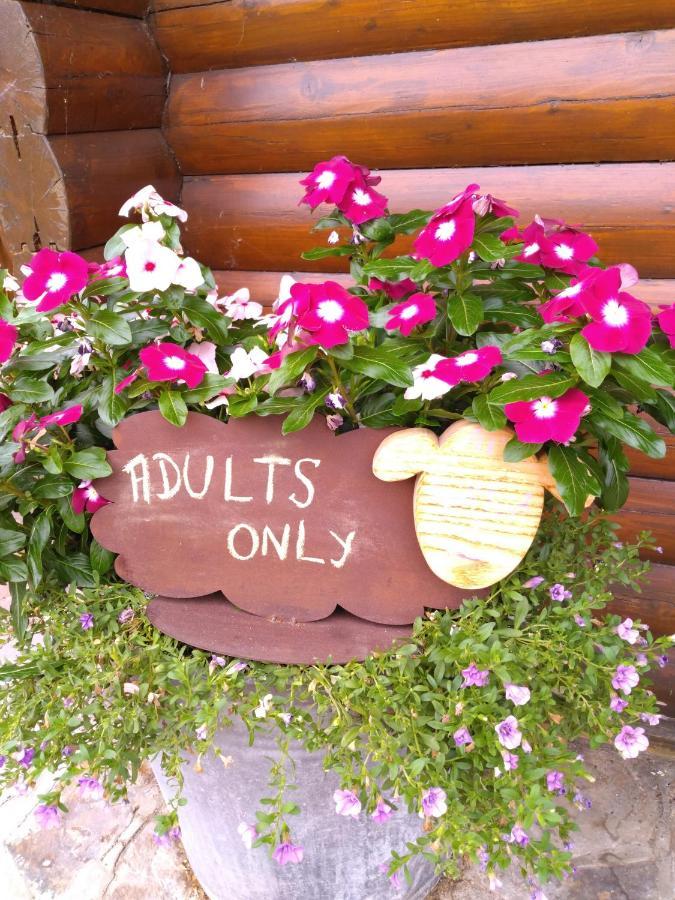 Au Paradou Du Bucheron Adults Only Lessive Exteriér fotografie